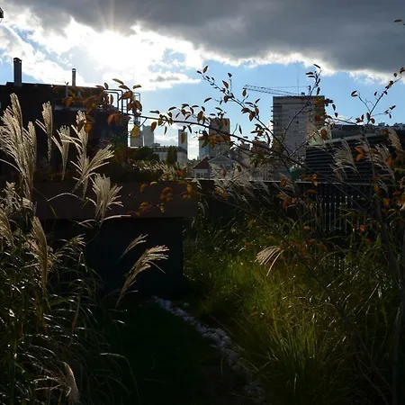 Apartment Tamka Chopin